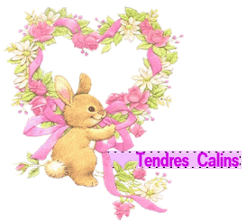 Gif tendres câlins